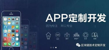 陀螺世界app系统开发