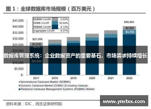 数据库管理系统：企业数据资产的重要基石，市场需求持续增长